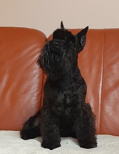 20240725_091336.jpg